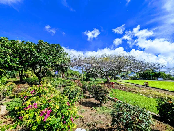 Breathtaking Bougainvillea Blooms Historic Queen Kapiolani Garden Serene Oasis Rich — Stock Photo, Image