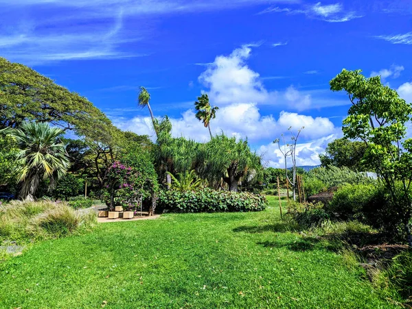 Historic Queen Kapiolani Garden Serene Oasis Rich Oahu Opened 1972 — Stock Photo, Image