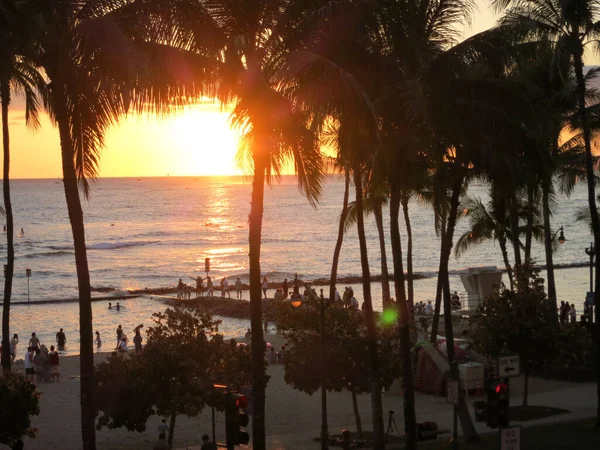 Waikiki Marzo 2016 Sereno Atardecer Una Playa Tropical Con Palmeras — Foto de Stock