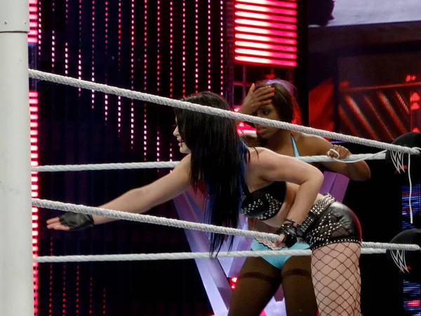 San Jose March 2015 Paige Determined Help Her Partner Tag — Stock Photo, Image