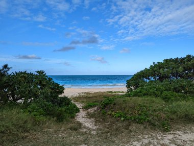 Okyanusa giden kum yolu Waimanalo, Hawaii 'de güzel bir günde bitki ve ağaçlarla çevrili..