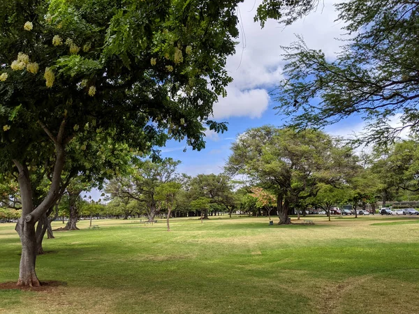 Pohled Park Kapiolani Největší Nejstarší Veřejný Park Honolulu Havaj Barevnými — Stock fotografie
