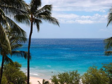 Hawaii 'deki tropikal bir plajın göz kamaştırıcı manzarası, yüksek bir açıdan çekilmiş. Okyanus, kıyıya yakın açık renk renkleriyle koyu mavi renktedir. Plaj, üzerinde birkaç kişinin olduğu açık tenli bir renktir. Palmiye ağaçları uzun ve yeşildir. Görüntüyü çerçeveler.