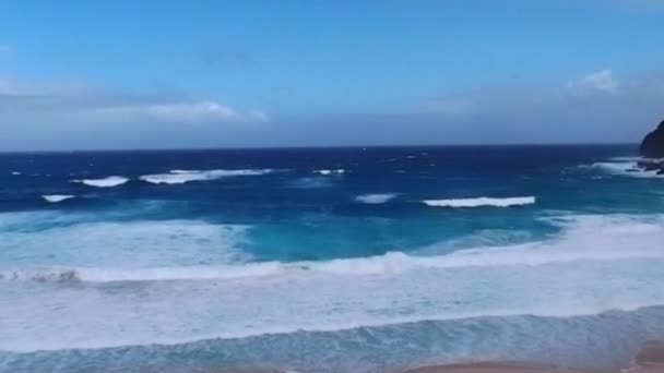 Makapuu Plajı Görkemli Tehlikeli Sörf Noktası — Stok video