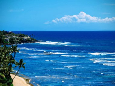 Oahu, Hawaii 'de güneşli bir gökyüzünün altında açık mavi bir okyanusun yanında palmiye ağaçları olan tropik elmas başlı plaj..