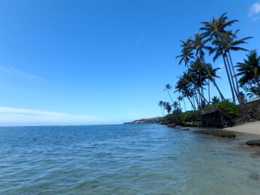 A tranquil tropical shoreline on Kahala Beach with palm trees against a vivid blue sky. clipart