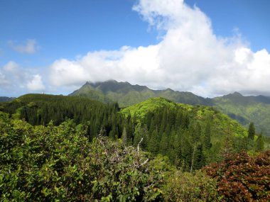 Oahu, Hawaii 'de mavi gökyüzünün altında yemyeşil dağlar..