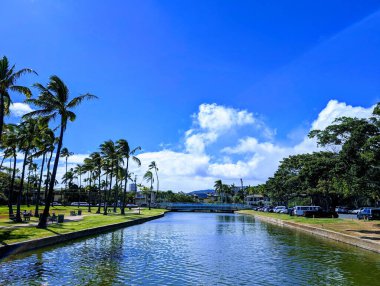 Honolulu - 24 Nisan 2024: Wai 'alae deresi gür ağaçlar ve otlarla dolu yeşil Waialae Plajı Parkı' nda dolaşarak sakin bir doğal manzara yaratır.. 