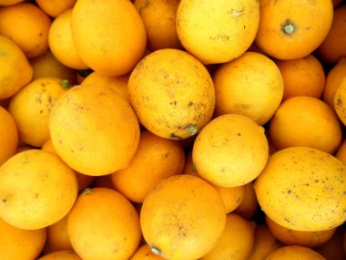 Satılık taze, olgun limon kümesi..