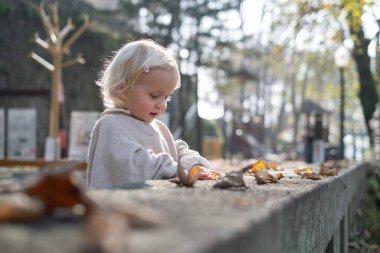 Parkta yapraklarla oynayan güzel mutlu bir kızın sonbahar portresi.