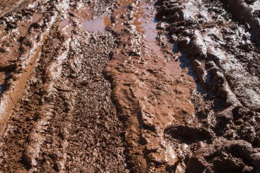 Islak çamur arkaplan dokusu. Yüksek kalite fotoğraf