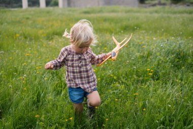 Sarışın bir kız yazın çimenlerde yürüyor, çiçekleri ve çim yapraklarını inceliyor. Yüksek kalite fotoğraf