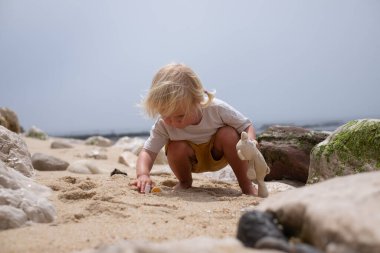 Sahilde deniz kabuğu arayan 4 yaşında Avrupalı bir kız. Yüksek kalite fotoğraf