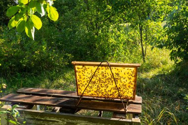  Arı kovanında çalışma ortamı