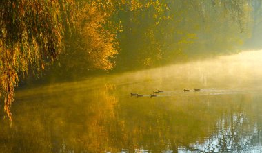 Sis özellikle güneşin yükselen ışınları tarafından vurulduğunda güzeldir..