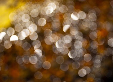 Arı kovanında hafif bir fantazi. Bal yüzeyinden yansıyan rastgele bir ışık vuruşu.