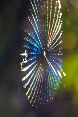 Kırılma ve ışığın karışmasını gözlemler. Güneş ışığının tayfının renkleri görünür..