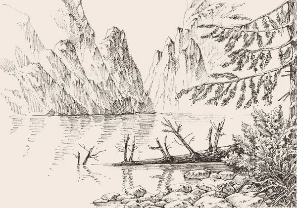 山の風景松の木の森 川の岩の山を流れる — ストックベクタ