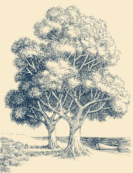 Alte Bäume Meer Detaillierte Handzeichnung — Stockvektor