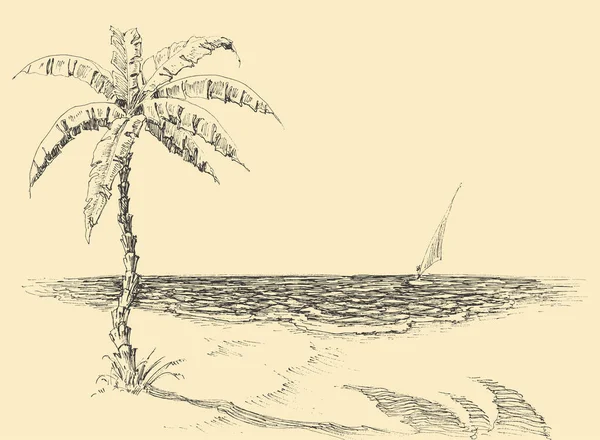 Palm Tree Sea Shore Vector Hand Drawing Ilustracje Stockowe bez tantiem