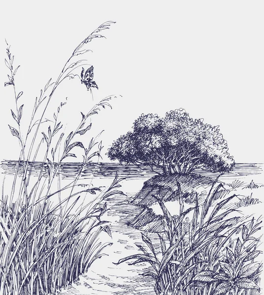 一条小径通向一个野生海滩手绘图 — 图库矢量图片