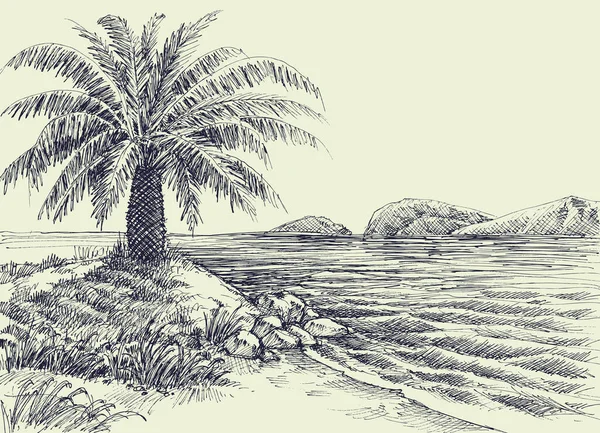Palm Tree Sea Shore Vector Hand Drawing — Stock Vector