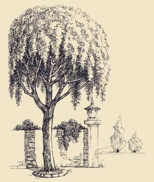 公園入口の手描き 柳の木の風景 — ストックベクタ