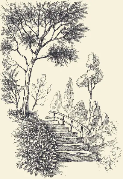 Kamenné Schody Parku Nebo Zahradě Stromy Květiny Krajina Ruční Kresba Stock Ilustrace