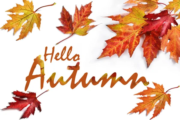 Hallo Herbst Hintergrund Mit Bunten Blättern Und Inschrift Isoliert Auf — Stockfoto
