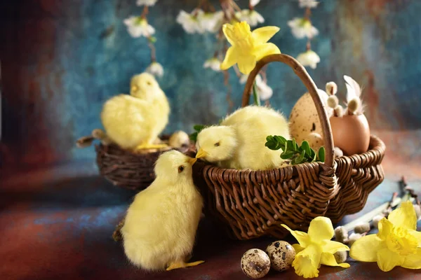 Easter Still Life Wicker Basket Eggs Chicken Decors Grunge Background — Stockfoto