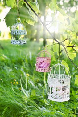 Bahar bahçesinde çimen ve ağaçlarla asılı küçük kuş kafesleriyle romantik bir dekorasyon.