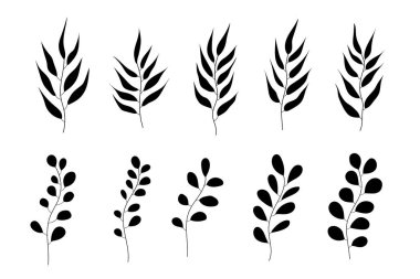 Basit çiçek vektörü çizim simgeleri ayarlandı. Yapraklar, bitkiler, dallar, dallar. Beyaz arka planda siyah bir siluet. Bahar tasarımı için vektör tasarımı, dekorasyon, şablon yapımı, boho tasarımı