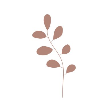 Bitki ikonu vektör eli çizilmiş, ağaç dalı. Basit yapraklar bitki simgesi. Botanik çizimi. Baskı için botanik illüstrasyon, düğün kartı, davetiye kartı, çiçek posteri, çıkartma, logo vektörü