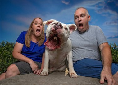 dog catching treats with owner