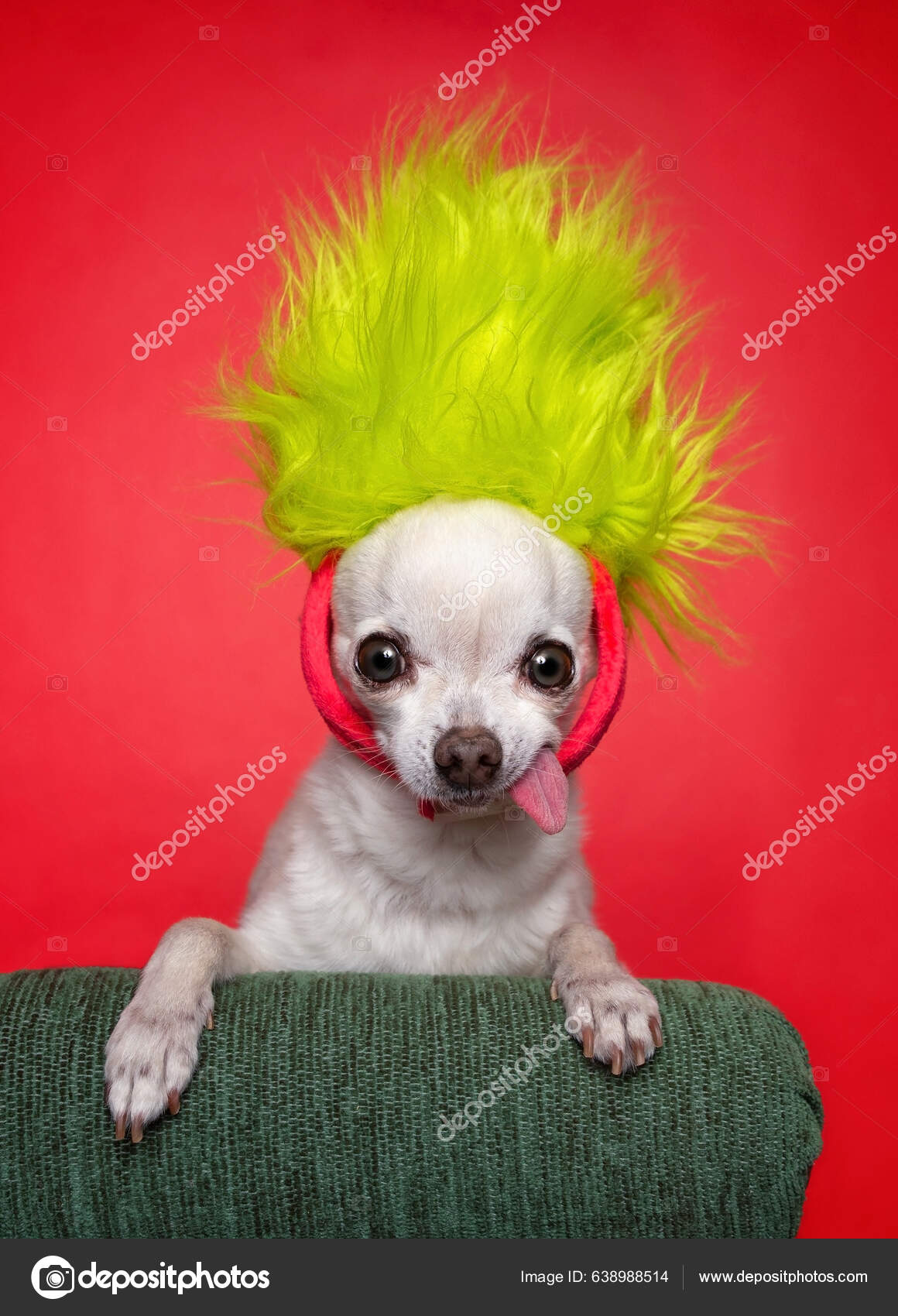 Perro troll fotos de stock, imágenes de Perro troll sin royalties |  Depositphotos