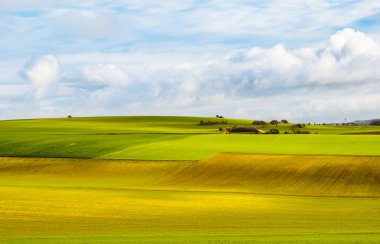 Fransa 'nın kuzeyindeki Calais çevresindeki ekili tarlaların kırsal manzarası
