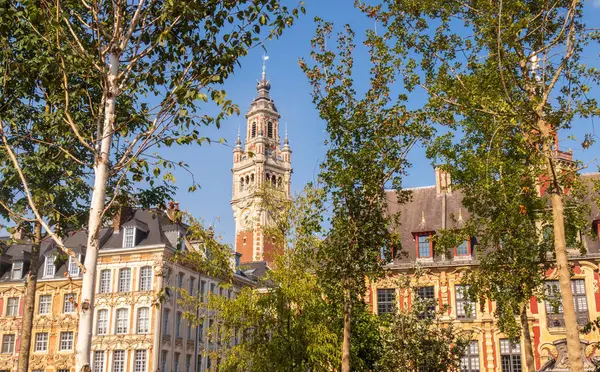 Grand Place Der Stadt Lille Und Sein Glockenturm Sommer Stockbild