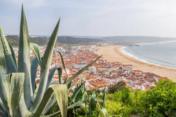 Widok Lotu Ptaka Czerwone Dachy Nazaretu Portugalia Nazare Beach Oceanu — Zdjęcie stockowe