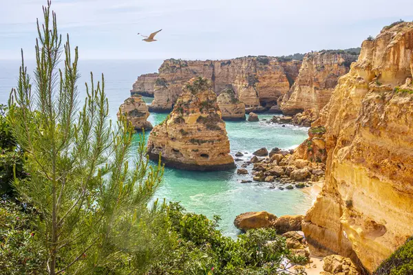 葡萄牙阿尔加维Benagil附近的Praia Marinha悬崖和海洋 免版税图库照片