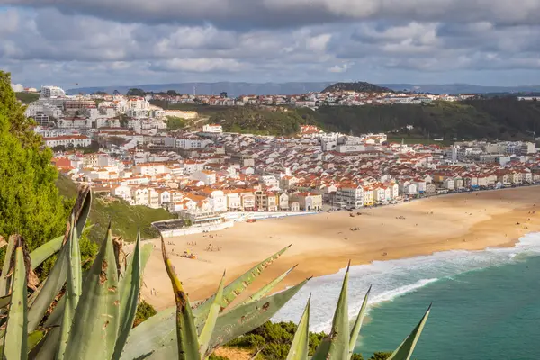 Αεροφωτογραφία Πάνω Από Την Πόλη Nazare Πορτογαλία Κάτω Στην Παραλία Εικόνα Αρχείου