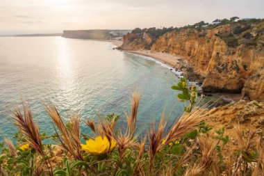 Uçurumların şafak vakti parıldayan Atlantik Okyanusuyla buluştuğu engebeli kıyı şeridi, Portekiz 'in Algarve kentindeki Lagos sahiline bakıyor.