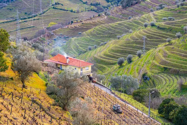 Vista Para Vale Douro Com Vinhas Dos Terraços Casas Fotografado — Fotografia de Stock