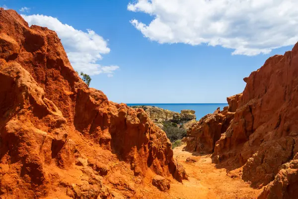 Amazing Red Sandstone Rocks Coastal Cliffs Steep Coast Praia Dos — Stock Photo, Image