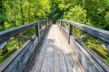 Etrafı verimli ormanlarla çevrili ahşap yaya köprüsü baharda fotoğraflandı.