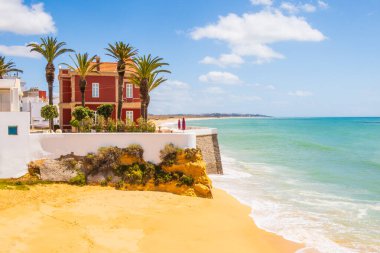 Armaco de Pera, Algarve, Portekiz 'deki palmiye ağaçları ve plaj manzarası