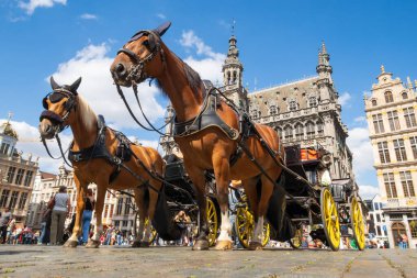 Brüksel, Belçika - 20 Ağustos 2022: Brüksel Grand-Place 'de at arabası, atlar ve turistler. Fotoğraf Belçika 'da çekildi