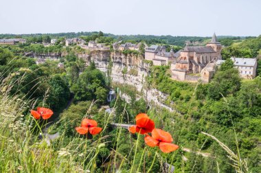 Trou de Bozouls 'a Aveyron, Occitanie, Fransa' da gelincikler çerçevelendi.