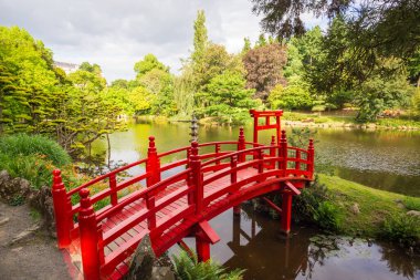 Baharda Fransa 'da gölün üzerinde geleneksel kırmızı ahşap köprüyle Japon bahçesinin manzarası