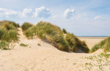 Fransa, Normandiya 'daki Cotentin yarımadasının kumullarından huzurlu bir manzara.