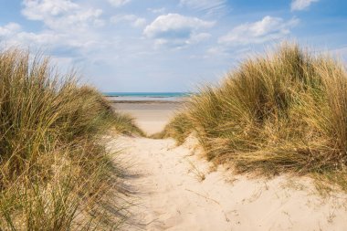 Fransa, Normandiya 'daki Cotentin yarımadasının kumullarındaki patikadan görüntüyü al.
